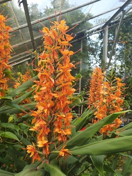 Treborth Botanic Garden, Bangor University